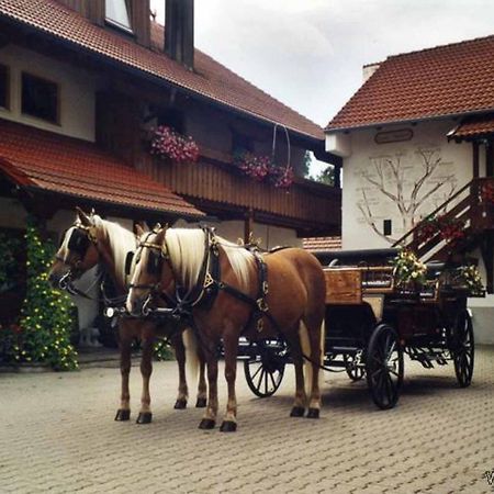 Appartementhaus "Haflinger Hof" Bad Füssing Exteriör bild