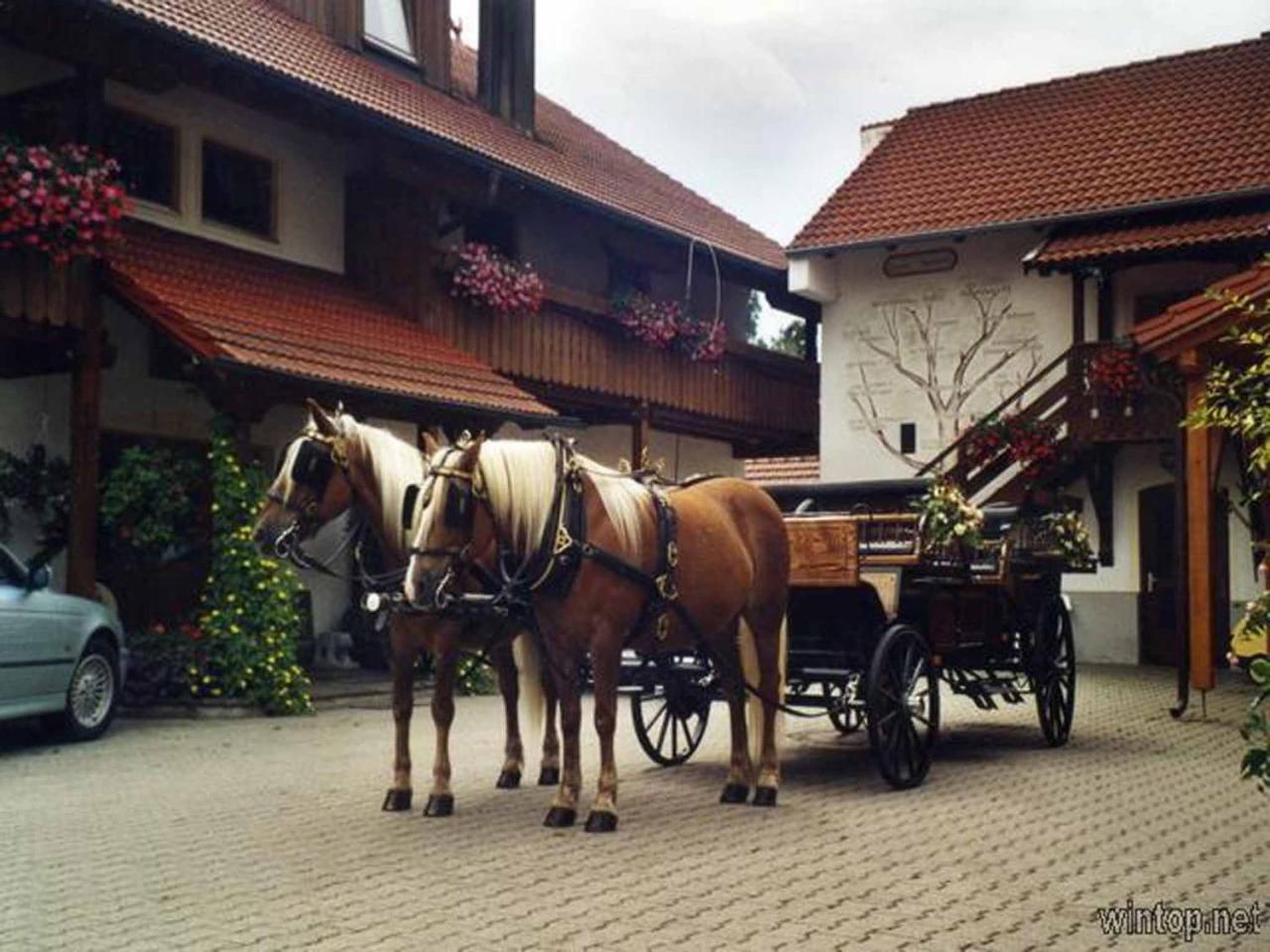 Appartementhaus "Haflinger Hof" Bad Füssing Exteriör bild